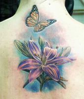 motyl latający nad kwiatkiem