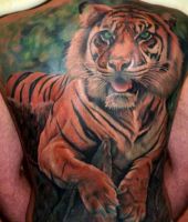 tygrys tatuaż na plecach - dziekie zwierzęta