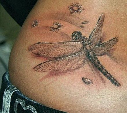 galeria zdjęć 4730