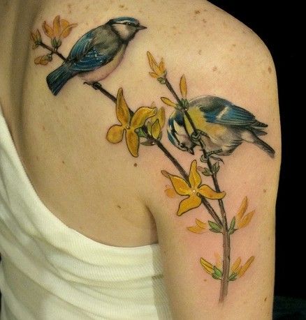 ptaki na gałęziach