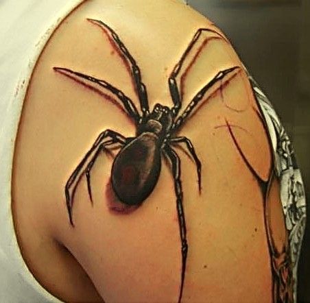 realistczny tatuaż z pająkiem