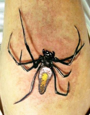 czarno biało żółty pająk