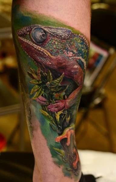 piękny kameleon