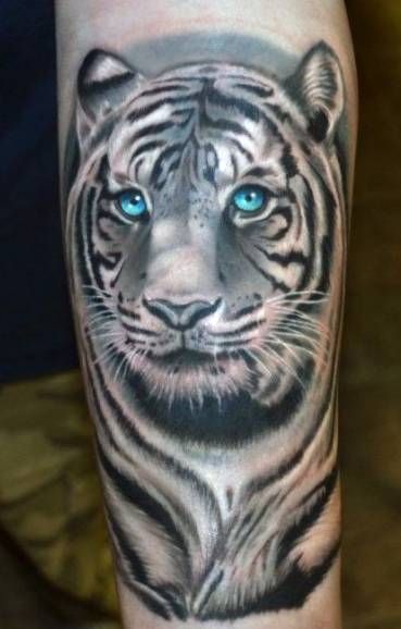 ładny biały tygrys