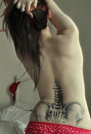 szkielet kręgosłupa