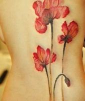 czerwone maki tatuaże