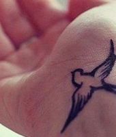 galeria zdjęć 4729