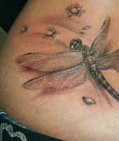 galeria zdjęć 4730