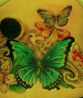 motyle kolorowe tatuaże
