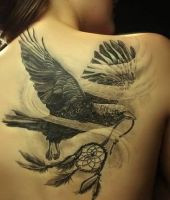 ptak i łapacz snów