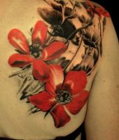 duże maki tatuaże na łopatce