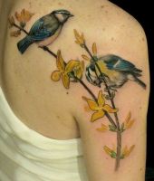 ptaki na gałęziach