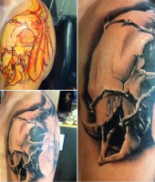 galeria zdjęć 5194