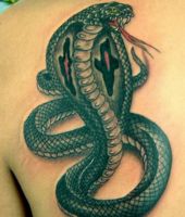 wąż kobra tatuaż na plecach