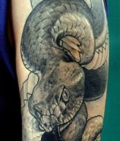 wąż tatuaż na ramieniu