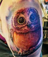 tatuaże sowy 24