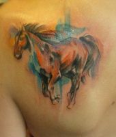 koń tatuaż na plecach