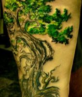 zielone drzewo tatuaż