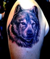 wilki tatuaże