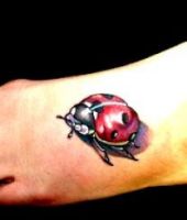 3d tatuaże biedronki