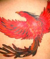 tatuaże feniks 71494