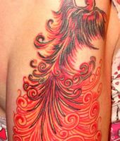 tatuaże feniks 74202