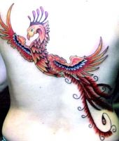 tatuaże feniks 75584