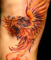 tatuaże feniks 41191