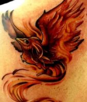 tatuaże feniks 25043