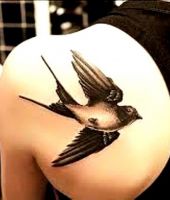 tatuaże jaskółki 19444