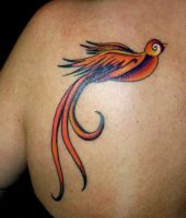 tatuaże jaskółki 4842