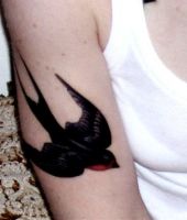 tatuaże jaskółki 70075