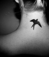 tatuaże jaskółki 26646