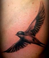 tatuaże jaskółki 68656