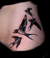 tatuaże jaskółki 4995