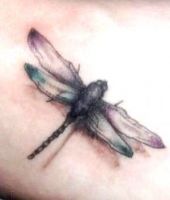 tatuaże ważki 46057