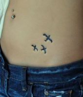 trzy ptaki na brzuchu