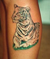 biały tatygrys tatuaż na łydce