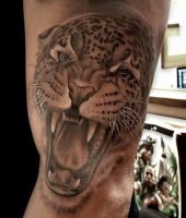 głowa dzikiego kota tatuaż na ręce