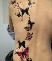 motyle czarne i kolorowe