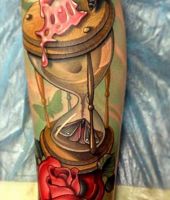 klepszydra róża i owady