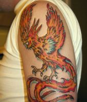 feniks na ramieniu