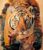 duży tatuaż tygrys