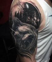 niedźwiedź w lesie