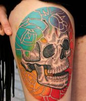 biała ludzka czaszka