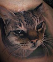 realistyczny kot domowy tatuaże