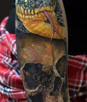 wąż na czaszce tatuaże