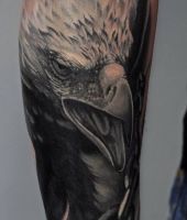 głowa ptaka tatuaż