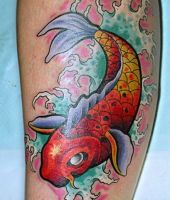 karp koi czerwony