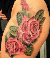 różowe róże na biodrze